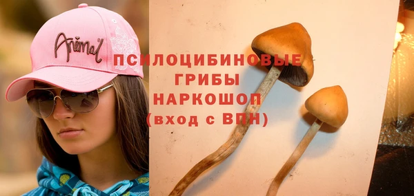 бутират Баксан